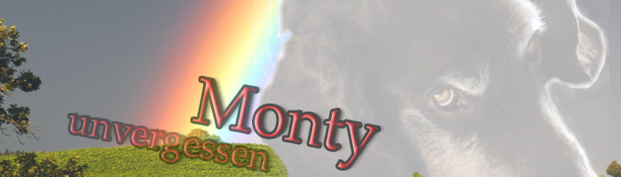 Monty im Regenbogenland